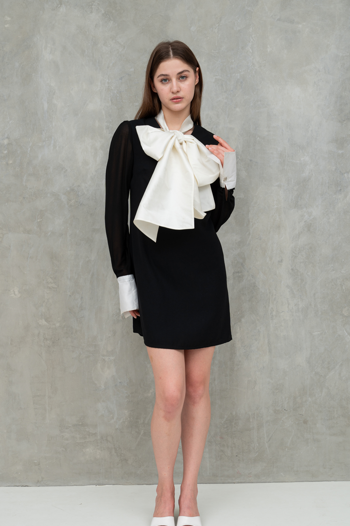 Black Niimi Mini Dress