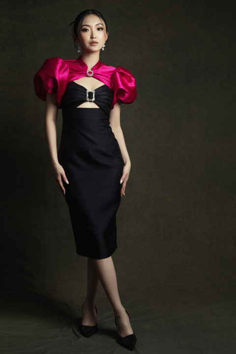 Black Pink Bijan Dress